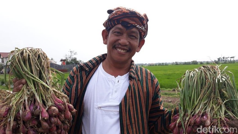 Kata Ketua Asosiasi Bawang Merah tentang Subkhan yang Curhat ke Sandi Kata Ketua Asosiasi Bawang Merah tentang Subkhan yang Curhat ke Sandi