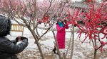 Seru hingga Romantis, Cara Warga Menikmati Salju Turun di China