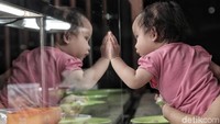 Seorang balita tengah memilih makanan yang akan dipesan.