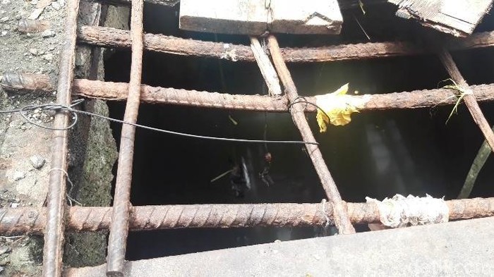 2 Buaya Muncul di Gorong-gorong Dekat Amplaz