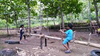  (Dadang Hermansyah/detikTravel)