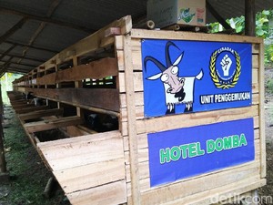 Yang Baru di Ciamis, Hotel Buat Domba