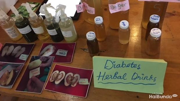 PYP Exhibition Sekolah Cikal/ 