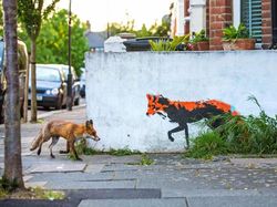 Karya Menyentuh Jawara Kontes Foto Hewan Liar