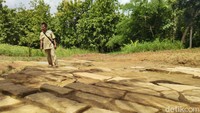 Ternyata, setelah dilihat oleh tim ahli Balai Arkeologi Bandung, batuan ini merupakan jenis batuan sedimen (Dadang/detikTravel)