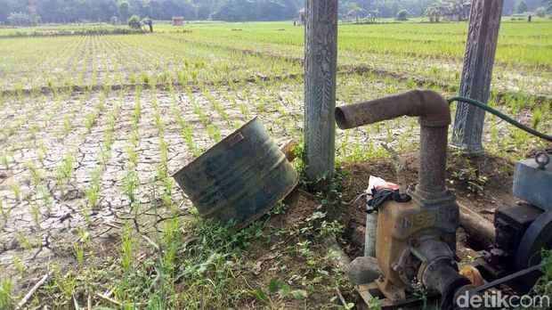 Kekeringan di Ponorogo/