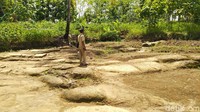 Kepala Desa Cibadak Olis Nurholis menuturkan pihaknya baru menyadari batu yang digali warga ternyata memiliki pola khusus yang cantik (Dadang/detikTravel)