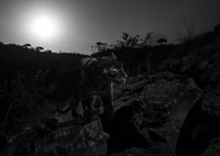 (Will Burrard-Lucas/Loisaba Conservancy/Facebook)