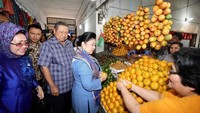 Di Pasar Berastagi, Ibu Ani asik berinteraksi dengan pedagang. Tak lupa sambil memilih jeruk-jeruk segar. Foto: Instagram aniyudhoyono