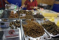 Aneka serangga (Shinta/detikTravel)