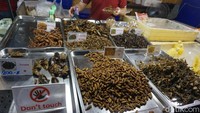 Ada ulat, kalajengking, sampai belalang goreng lho (Shinta/detikTravel)