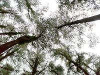 (Aji Kusuma/detikTravel)