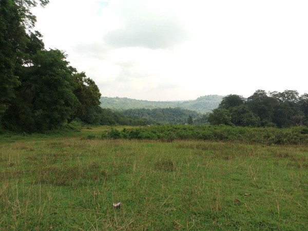 Suasananya yang hijau dan sejuk, menjadikan lokasi ini cocok untuk melepas lelah selama berkendara. (Aji Kusuma/detikTravel) Suasananya yang hijau dan sejuk, menjadikan lokasi ini cocok untuk melepas lelah selama berkendara. (Aji Kusuma/detikTravel)