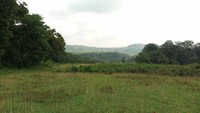 Suasananya yang hijau dan sejuk, menjadikan lokasi ini cocok untuk melepas lelah selama berkendara. (Aji Kusuma/detikTravel) 