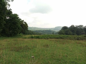 Lahan HGU Digunakan untuk Apa?