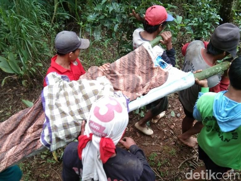 76+ Gambar Babi Hutan Mati Paling Bagus 76+ Gambar Babi Hutan Mati Paling Bagus