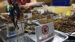Foto: Jajan Daging Buaya dan Serangga Goreng di Thailand