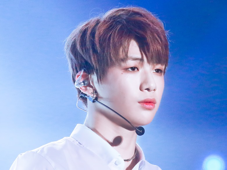 Profil Kang Daniel, Bintang K-pop yang Alami Depresi Foto: Apeachdude/wikimedia commons Profil Kang Daniel, Bintang K-pop yang Alami Depresi Foto: Apeachdude/wikimedia commons