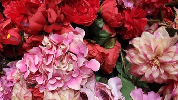 Xiaomi Mi 9 punya tiga kamera belakang yang digadang-gadang punya kemampuan jempolan. Ini salah satu foto lain. (Foto: Dok. Akun Weibo Wang Chuan)