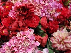 Xiaomi Mi 9 Hasilkan Foto-foto Ini, Bagus Tidak?