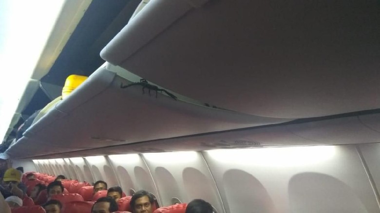 Foto: Kalajengking di pesawat Lion Air (Istimewa) Foto: Kalajengking di pesawat Lion Air (Istimewa)
