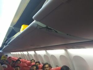 Kalajengking Mirip Laba-laba di Pesawat Lion Air, dari Mana Asalnya?