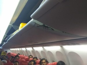 7 Hewan Berbahaya yang Muncul di Pesawat Selain Kalajengking Lion Air