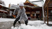 Dengan curah hujan salju mencapai 7.9 meter setiap tahun, Kota Aomori di Jepang dinobatkan sebagai yang paling bersalju sedunia. Salju di Aomori turun dari bulan November sampai April. (Kyodo/Reuters)