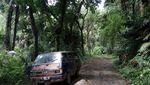 Foto: Dari Jalan Tol Trans Jawa, Bisa ke Hutan Cemara di Semarang
