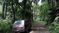 Hutan pinus di sini sangat instagenik, apalagi jika datang di pagi hari. (Aji Kusuma/detikTravel)