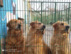 Xiaomi Mi 9 Hasilkan Foto-foto Ini, Bagus Tidak?