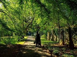 Melihat Aksi Batman Saat Nganggur