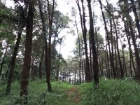  (Aji Kusuma/detikTravel)