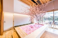 Di Bar Ini, Anda Bisa Berendam Bunga Sakura Sambil Cicip Minuman