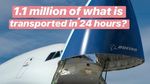 Fakta-fakta Pesawat Terbesar Boeing 747 di Momen Valentine