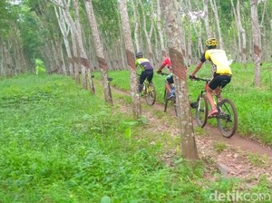Menteri BUMN Bakal Buka Chocolate Glenmore Run di Banyuwangi