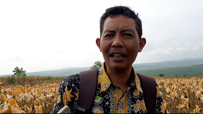 Foto: Ainur Rofiq Foto: Ainur Rofiq