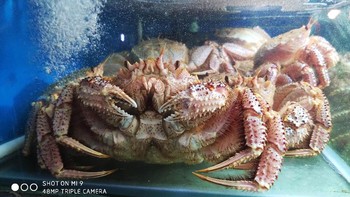 Sampel foto lain dari kamera belakang Xiaomi Mi 9, yang akan rilis pada 20 Februari. (Foto: Dok. Akun Weibo Wang Chuan)