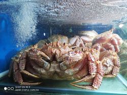 Xiaomi Mi 9 Hasilkan Foto-foto Ini, Bagus Tidak?