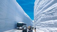 Kota Toyama sudah terkenal akan saljunya. Bahkan di sini ada dinding salju tinggi yang berada di kanan-kiri jalanan yang dilewati bus wisatawan.  (CNN Travel)