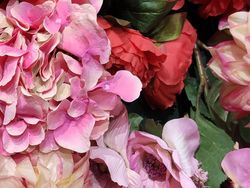 Xiaomi Mi 9 Hasilkan Foto-foto Ini, Bagus Tidak?