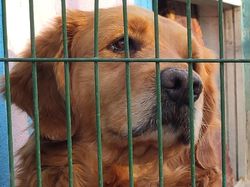 Xiaomi Mi 9 Hasilkan Foto-foto Ini, Bagus Tidak?