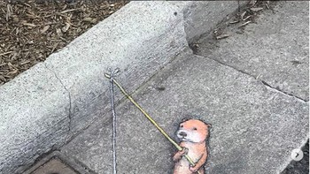 Kebanyakan gambar Zinn menggunakan karakter animasi hewan lucu seperti tupai, ular tikus, naga, serta hingga bersayap.  (Foto: Instagram/davidzinn)