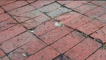 Ia bisa membuat gambar 3 dimensi dengan alat kapur.  (Foto: Instagram/davidzinn)