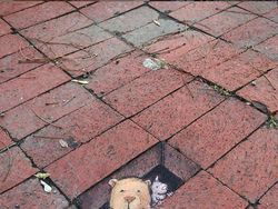 Keren! Bermodal Kapur Ciptakan Karya Street Art 3D