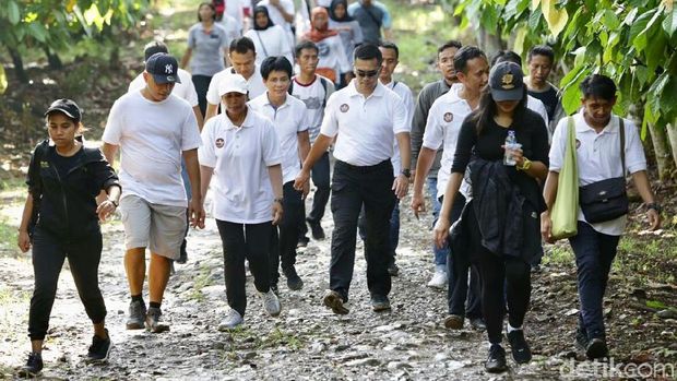Melewati perkebunan cokelat yang bersejarah (Ardian/detikTravel)