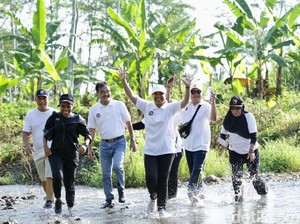 Asyiknya Menteri Rini, Anas & Bos Bank BUMN Lari di Kebun Cokelat Banyuwangi