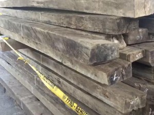 Kasus Kayu Ilegal Asal Papua Senilai Rp 100 M Segera Disidangkan