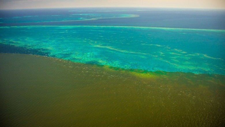 Air Keruh dari Banjir di Australia Menyelimuti Great Barrier Reef Air Keruh dari Banjir di Australia Menyelimuti Great Barrier Reef