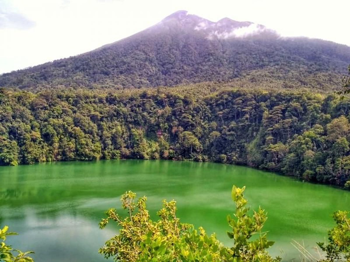 5 Fakta dan Mitos Danau Tolire yang Dihuni Buaya Putih, Benarkah?